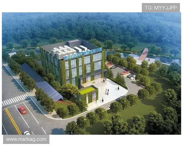 探索K8凯发网址官方网站的多样游戏选择，满足不同玩家的娱乐需求与体验偏好